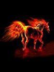 pic for fire horse